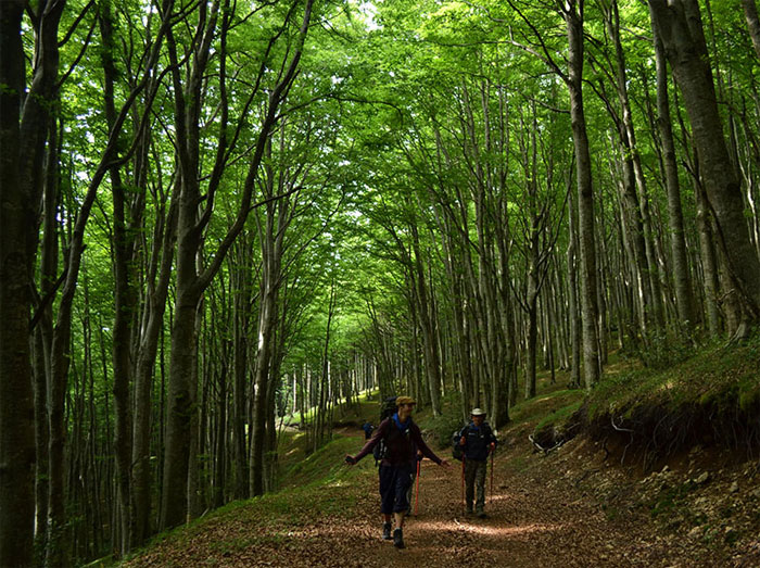 Trekking  percorso san francesco