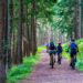 Cicloturismo in Calabria