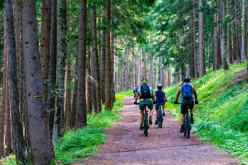 Cicloturismo in Calabria